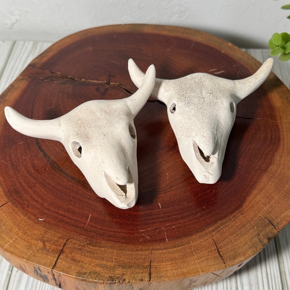 Cow Cattle White Skull Head Western‎ Decor 4"x2" Garden Decor, Succulent Decor